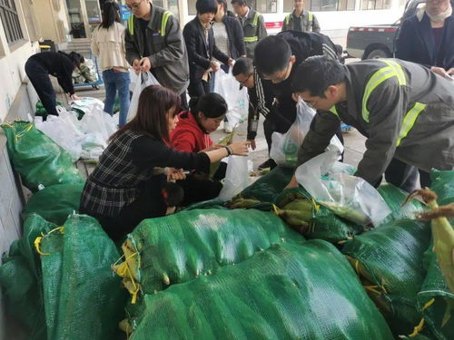 新聞集裝箱 知曉三期事 第45-48周賽事活動(dòng)綜述